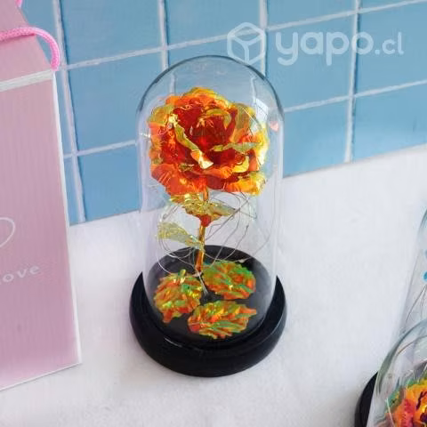 Cúpula Rosa Eterna OFERTA
