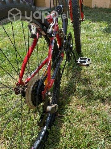 Bicicleta bianchi - Imagen 5