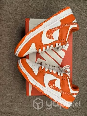 Nike Dunk Low Orange Paisley