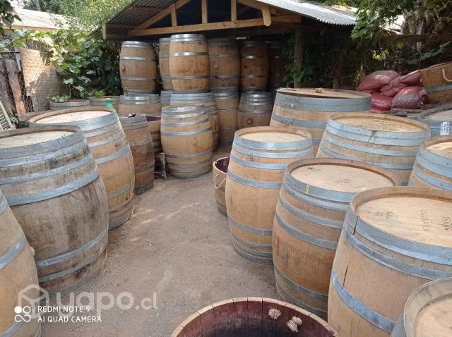 Barricas de Roble de todos los tamaños