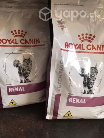 Royal canin RENAL gato