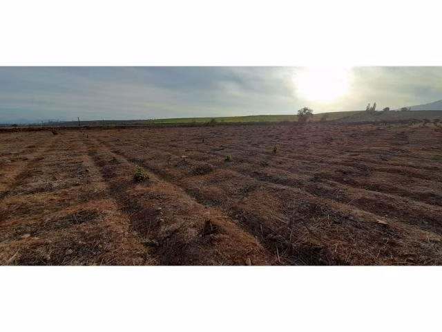Agricola parcela 5 tuqui ovalle - tuqui - c… - Imagen 3