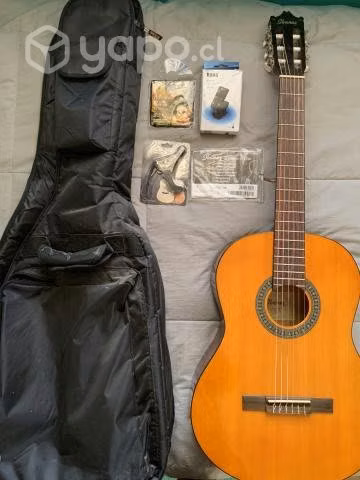 Guitarra Acústica Ibanez