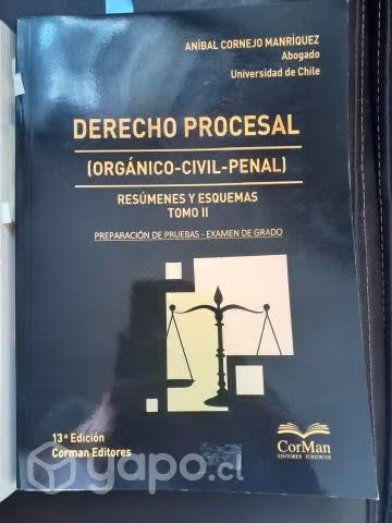 Derecho procesal en resúmenes y esquemas.