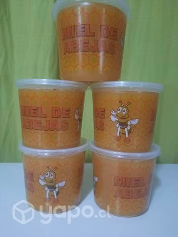 Miel de abeja - Imagen 4
