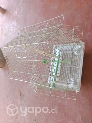 Jaula de pajaritos