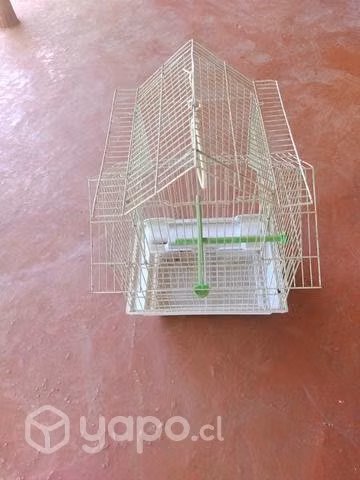 Jaula de pajaritos