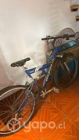Bicicleta Oxford