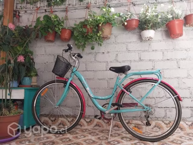 Bicicleta Bianchi aro 26 mujer