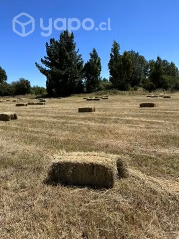 Fardos de alambre - Imagen 2