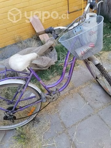 Bicicletas sin mantencion