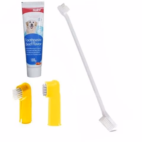 Cuidado dental perro: crema dental + cepillos