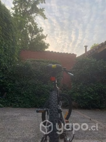 Bicicleta avalanche Mtb discovery 24 - Imagen 4