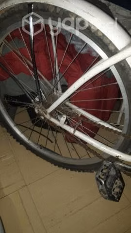bici - Imagen 2