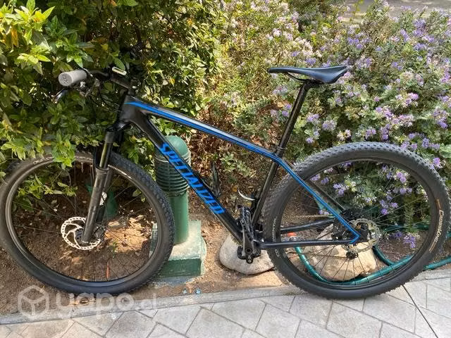 Epic Comp Carbon 29 Specialized