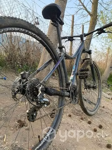 Trek skye Aro 29
