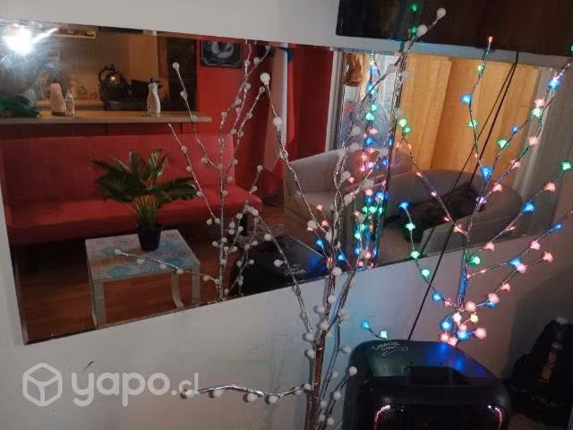 Cosas de hogar - Imagen 4