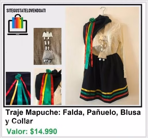 Traje Mapuche Falda Blusa Pañuelo Nuevo