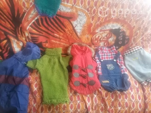 Ropa tamaño Toy