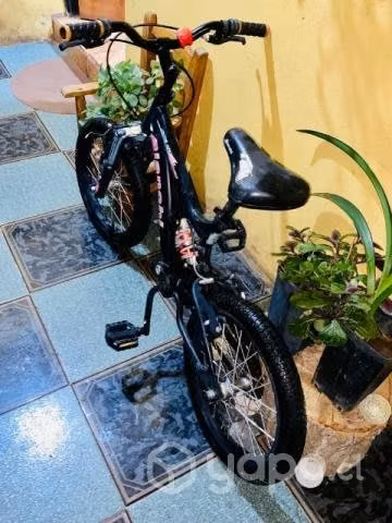 Bicicieta