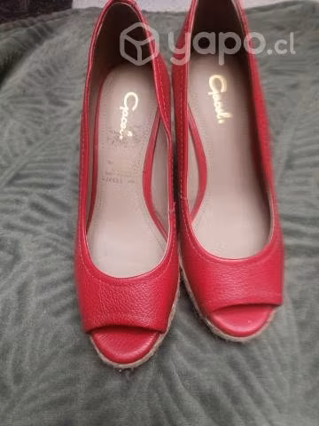 Hermosos zapatos gacel