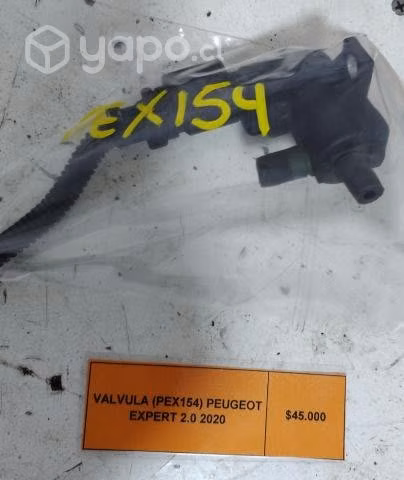 Valvula (PEX154) Peugeot Expert 2.0 2020