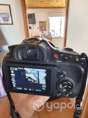 Sony a58 reflex