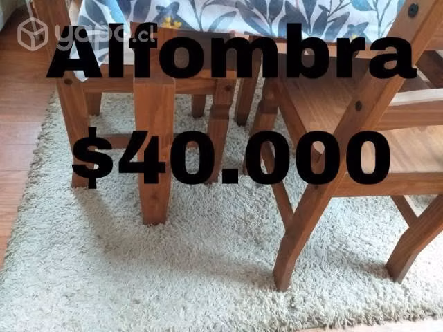 muebles y electrodomésticos