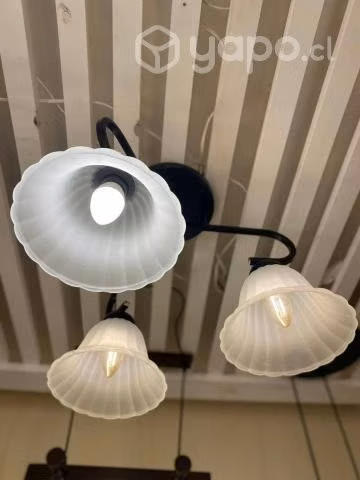 💡lámparas tulipas
