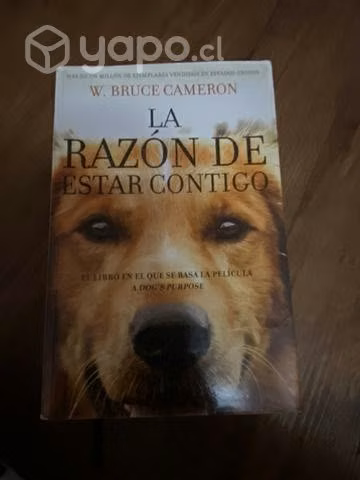 La razón de estar contigo
