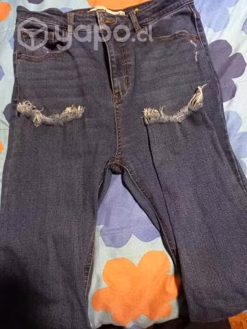 Jeans americanino