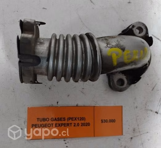 Tubo Gases (PEX120) Peugeot Expert 2.0 2020