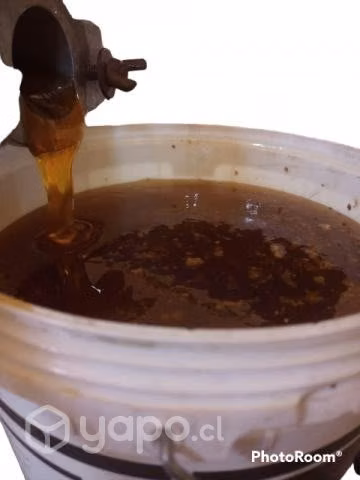 miel de abejas.