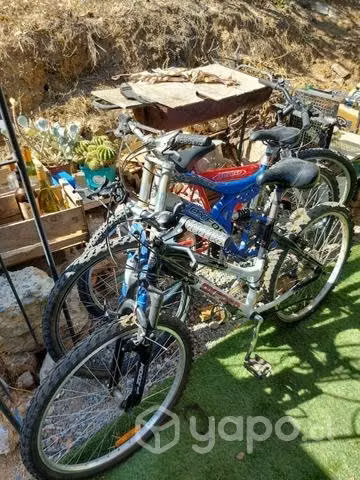Lote de Bicicletas