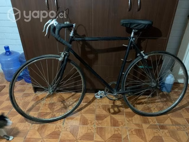 Bicicleta ruta