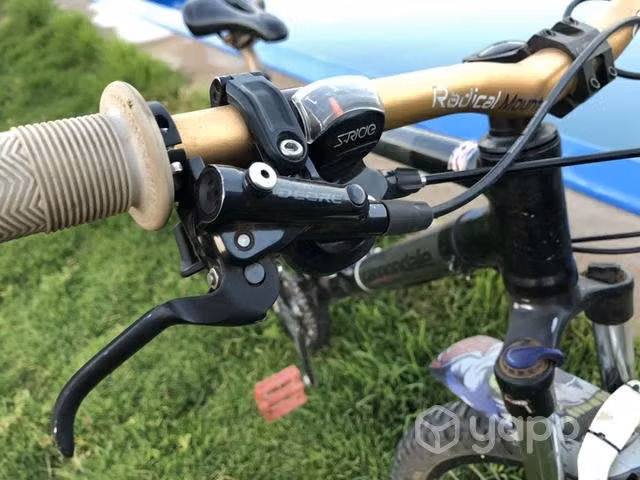 BICICLETA