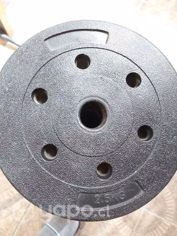 Discos Pre olímpicos 2,5 kg - Imagen 2