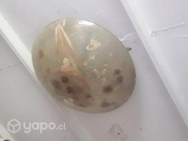 Hermozo plafon de fibra de vidrio