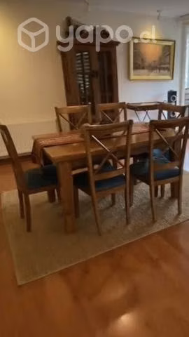 Hermoso comedor de rauli