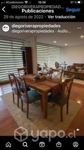 Hermoso comedor de rauli - Imagen 3