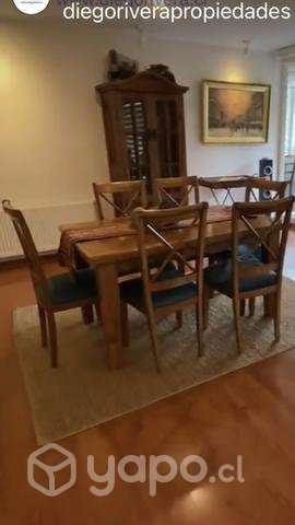 Hermoso comedor de rauli - Imagen 2