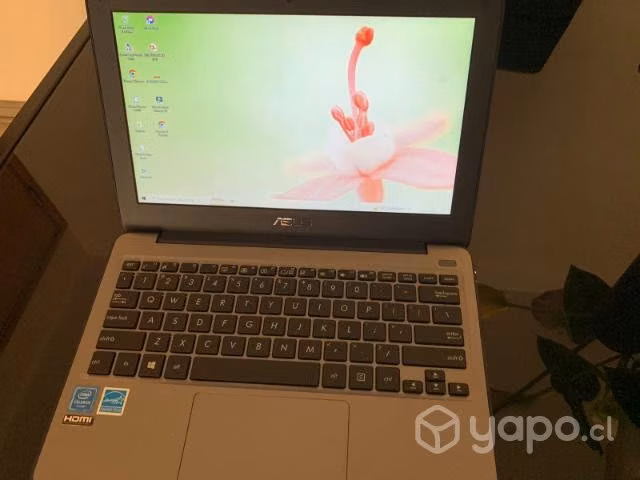 Computador Lapto Asus ,
