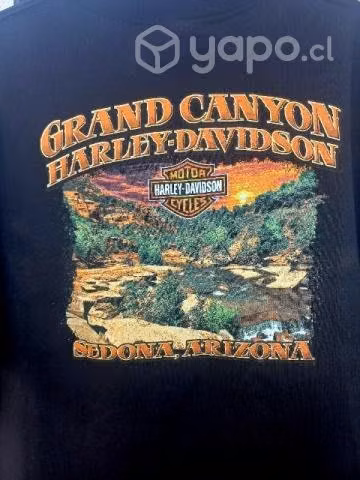 Polera Harley Davidson