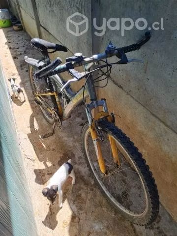 Bicicleta