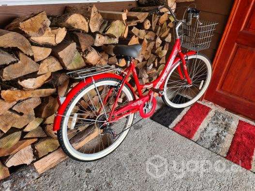 Bicicleta Atlanta - Imagen 5