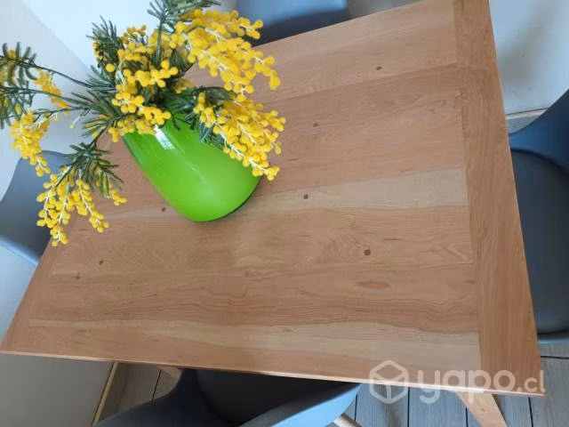 Mesa Nueva