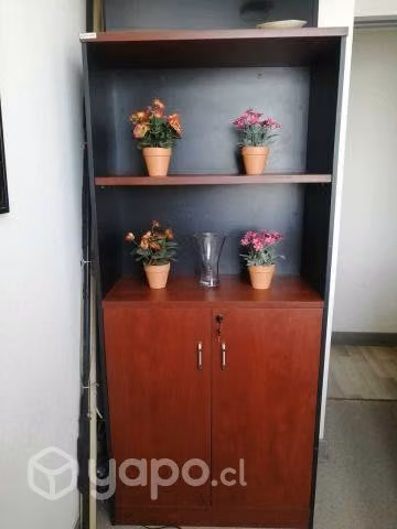 Librero dos puertas officenter