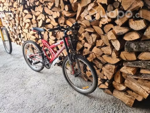 Bicicleta oxford 2445