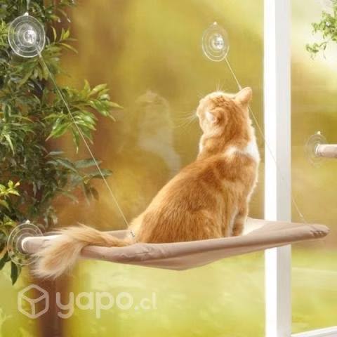 Cama Montable De Ventana Para Gato Posadera De Sol