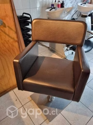 Sillon peluqueria - Imagen 2
